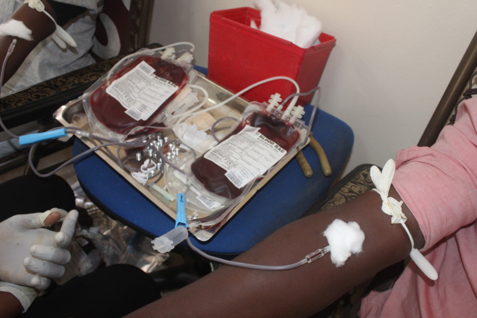 Matinée don de sang au PCCI : Les organisateurs veulent collecter plus de 200 poches pour l'édition 2015