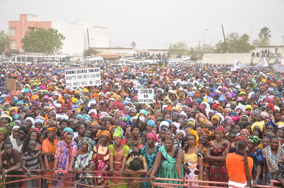 600 millions aux femmes du Saloum: Moustapha Diop déroule à Kaolack 
