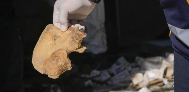 Des ossements humains découverts dans un bunker à Rufisque: L’IFAN saisi par la Police