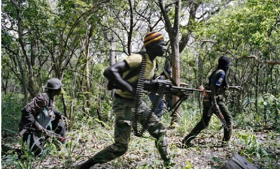 Attaque armée à Djinaky :  Le clan Diakaye dégage toute implication dans cette forfaiture