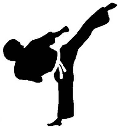 La Fédération sénégalaise de Taekwondo renouvelle son comité directeur samedi prochain