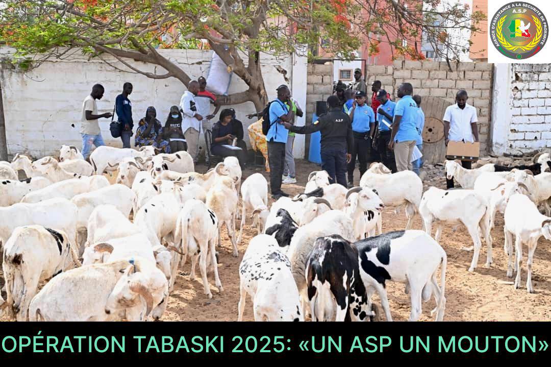 Solidarité à l’honneur : L’ASP lance l’opération « Un ASP, un mouton » pour la Tabaski 2025
