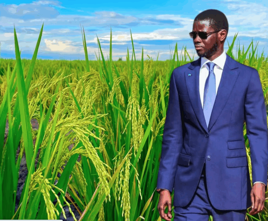 Visite économique dans le Nord: Diomaye prend le pouls du pays profond