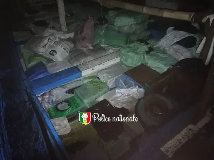 Saisie de 22 tonnes de poulet de contrebande au large de Joal