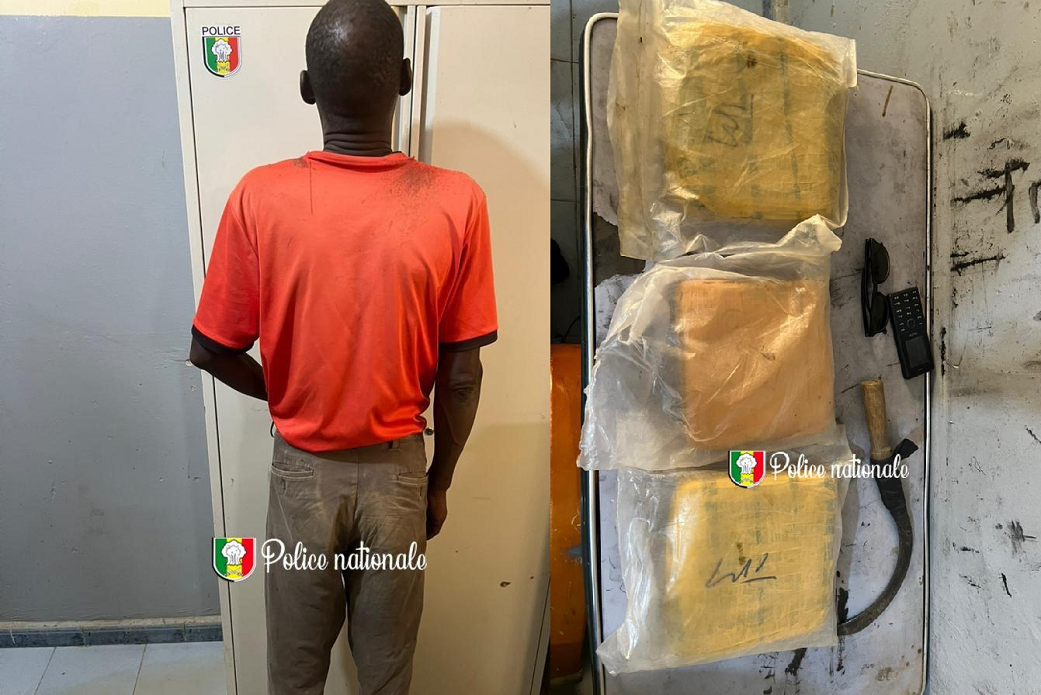 Trafic international de chanvre indien : Un individu interpellé à Ndiatène, en possession de plus de 2 kg de chanvre indien