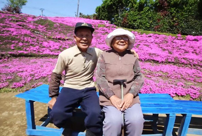 Sa femme perd la vue, il passe 2 ans à planter des milliers des fleurs parfumées afin de lui redonner le sourire