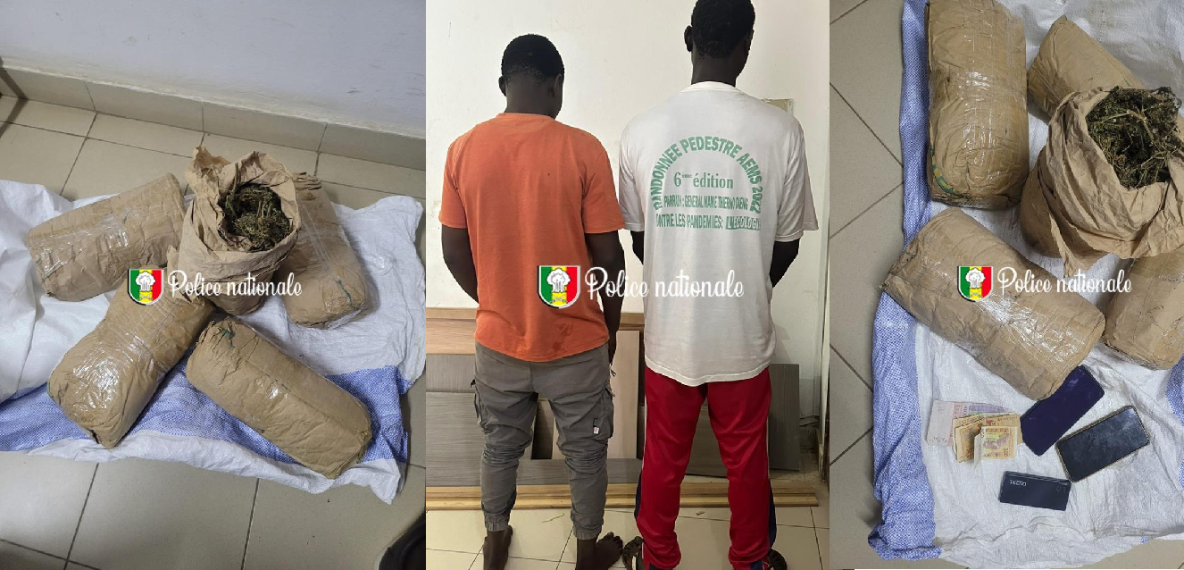 Démantèlement d’un réseau de trafic de drogue à Yarakh : Deux individus arrêtés avec 5 kg de chanvre indien