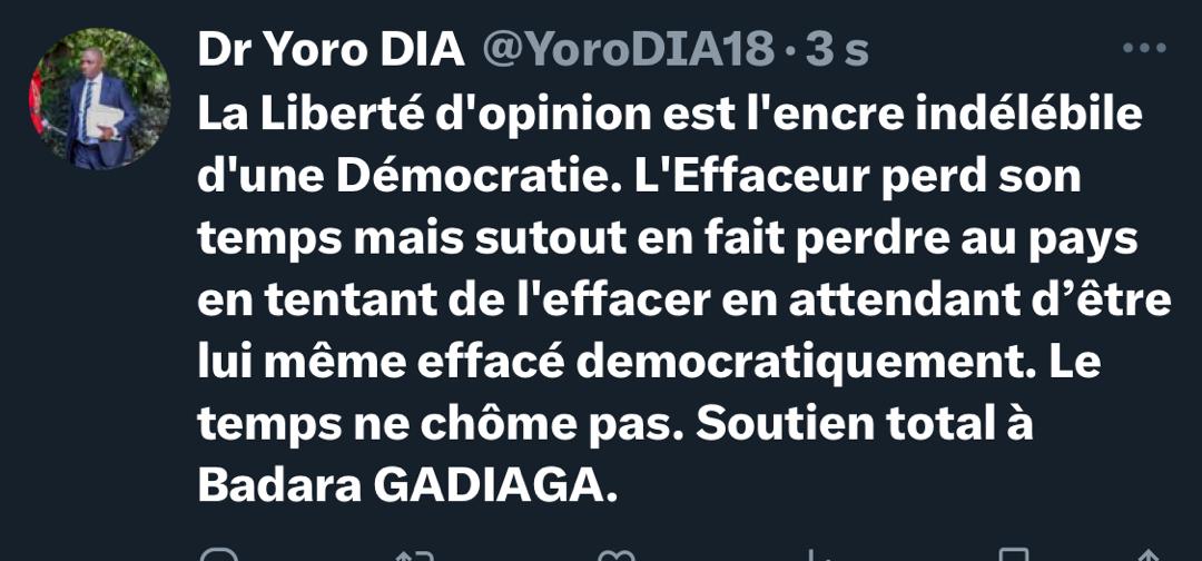 Dr. Yoro Dia, ancien Ministre: “La liberté d’opinion est l’encre indélébile d’une démocratie”
