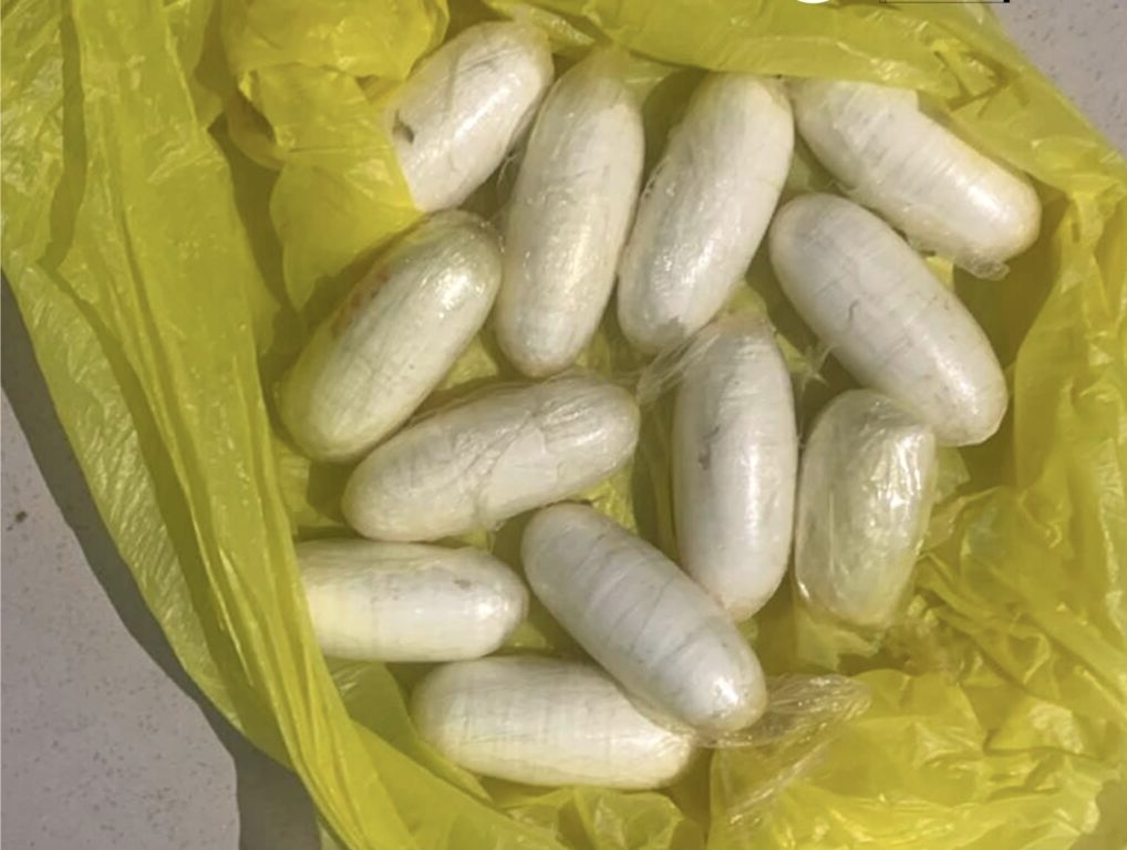 Biscuiterie-HLM : Arrestation d’un trafiquant de drogue de nationalité étrangère arrêté avec 82 képas de Kush dans ses sous-vêtements