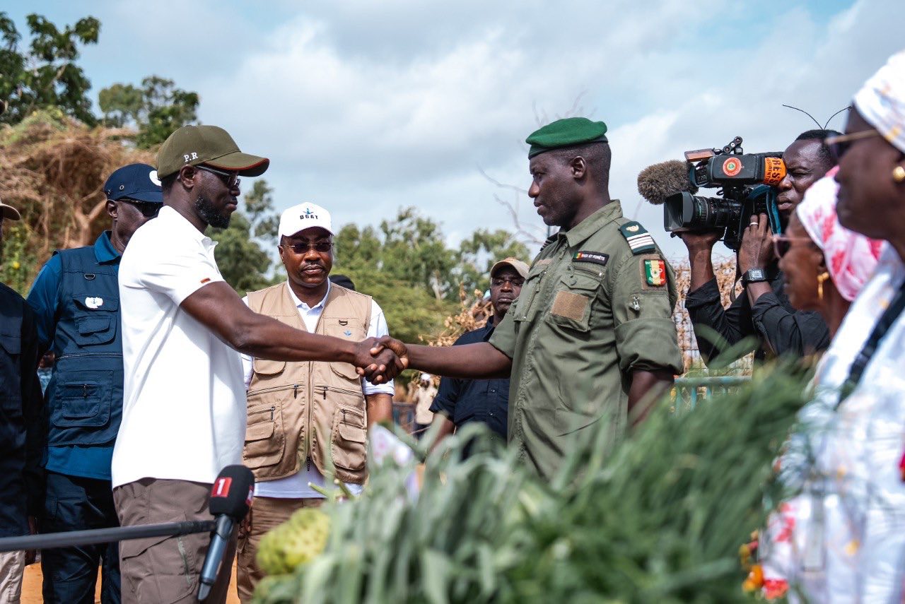 Mbao : Diomaye Faye donne le coup d’envoi de la caravane de reboisement pour un million d’arbres en 48h