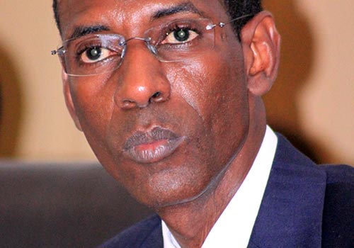 Référendum du  20 mars : L'opposition accuse Abdoulaye Daouda Diallo de préparer une vaste fraude