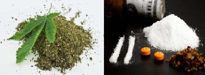 Rapport 2015 de l’Oics :  L’Afrique de l'Ouest plaque tournante de la cocaïne vers l'Europe 