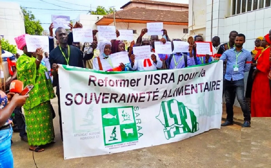 ISRA : les chercheurs dénoncent un blocage et brandissent la menace de grève