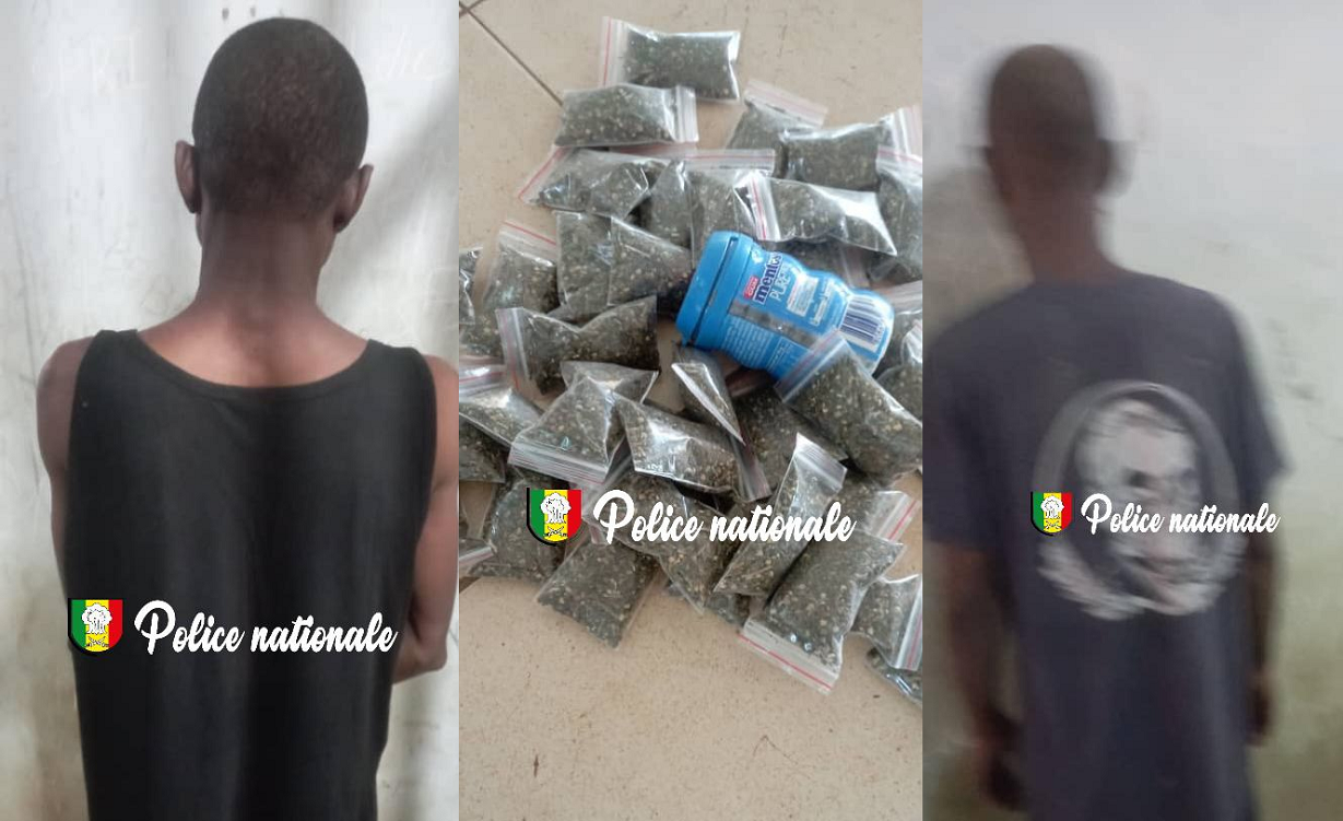 Opération antidrogue à Jaaxay : deux arrestations pour détention de chanvre indien
