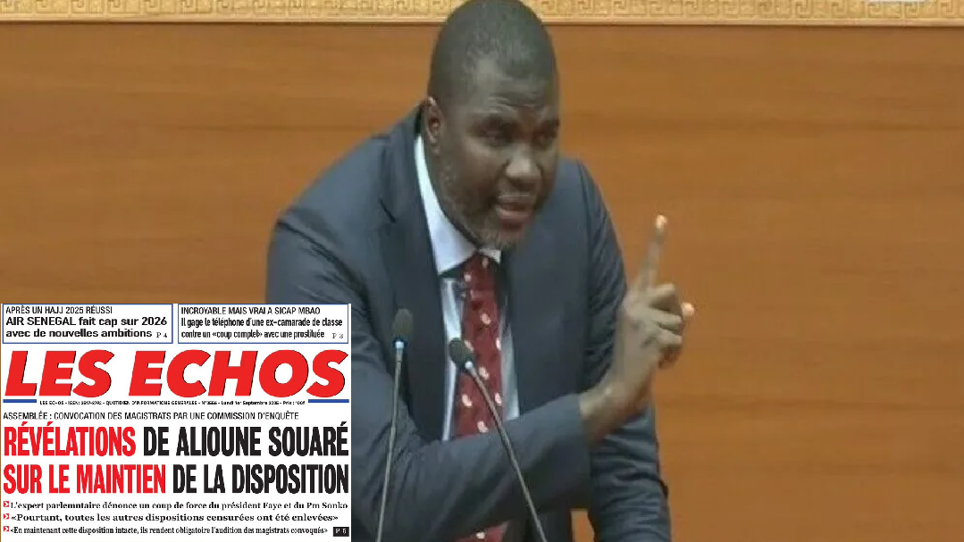 Promulgation du règlement intérieur de l’Assemblée nationale : Alioune Souaré dans une confusion, entre censure et réserve d’interprétation, selon Amadou Bâ