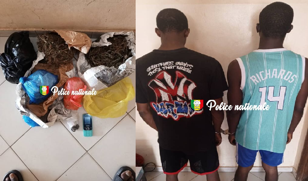Trafic de drogue : La police intercepte un réseau à Yeumbeul Sud, deux trafiquants arrêtés avec 1,4 kg de chanvre indien