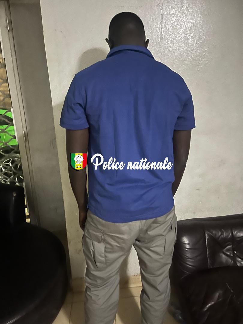 Dakar Plateau I Vaste coup de filet antidrogue : 5 individus arrêtés, 4 véhicules de luxe saisis