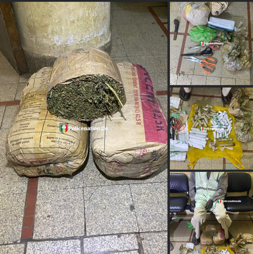 Arrestation et saisie de drogue à Kaolack avant le Gamou