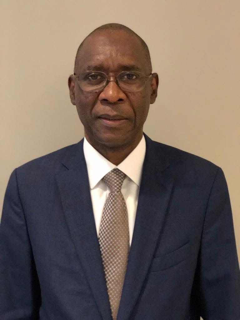 Cheikh Niang, un diplomate de carrière à la tête des Affaires étrangères