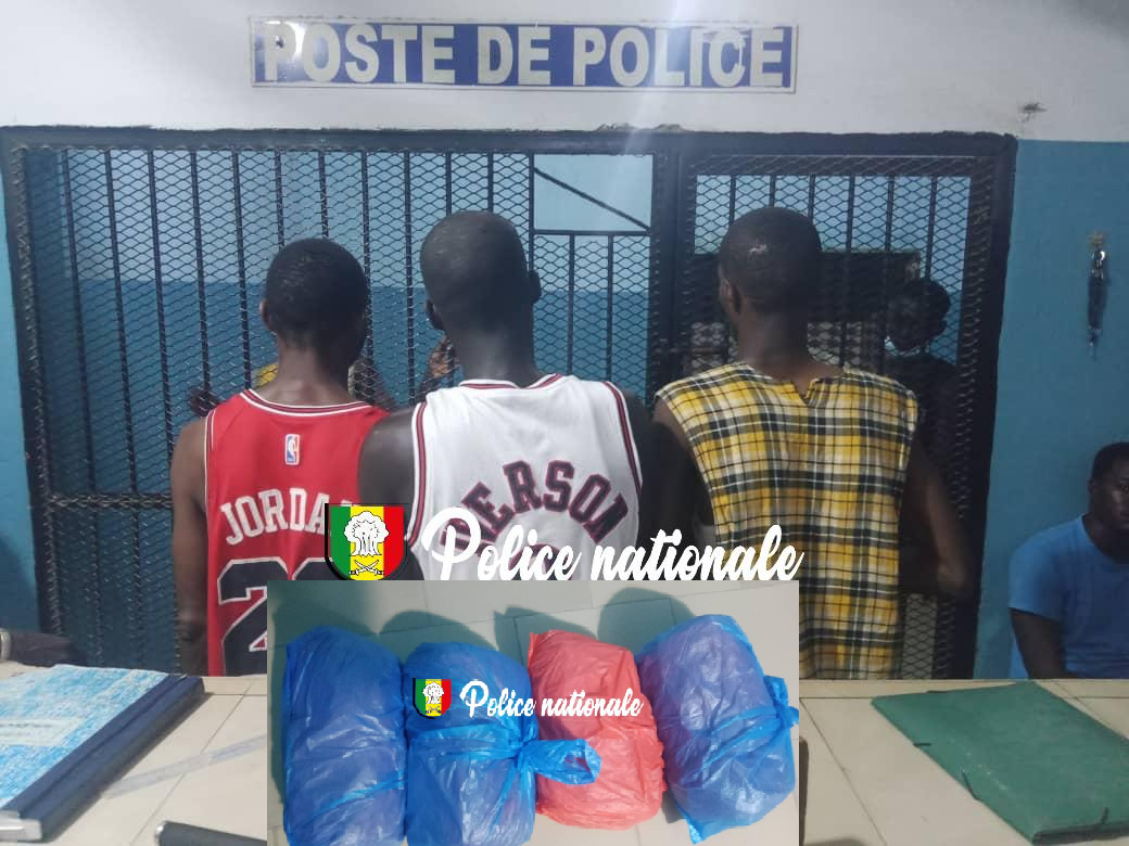 Coup de filet anti-drogue: trois individus interpellés à Grand Yoff