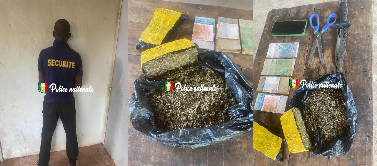 Un nouveau coup de filet à Kédougou : Un réseau de drogue démantelé dans le quartier Gada Dinguessou avec 500 g de chanvre indien