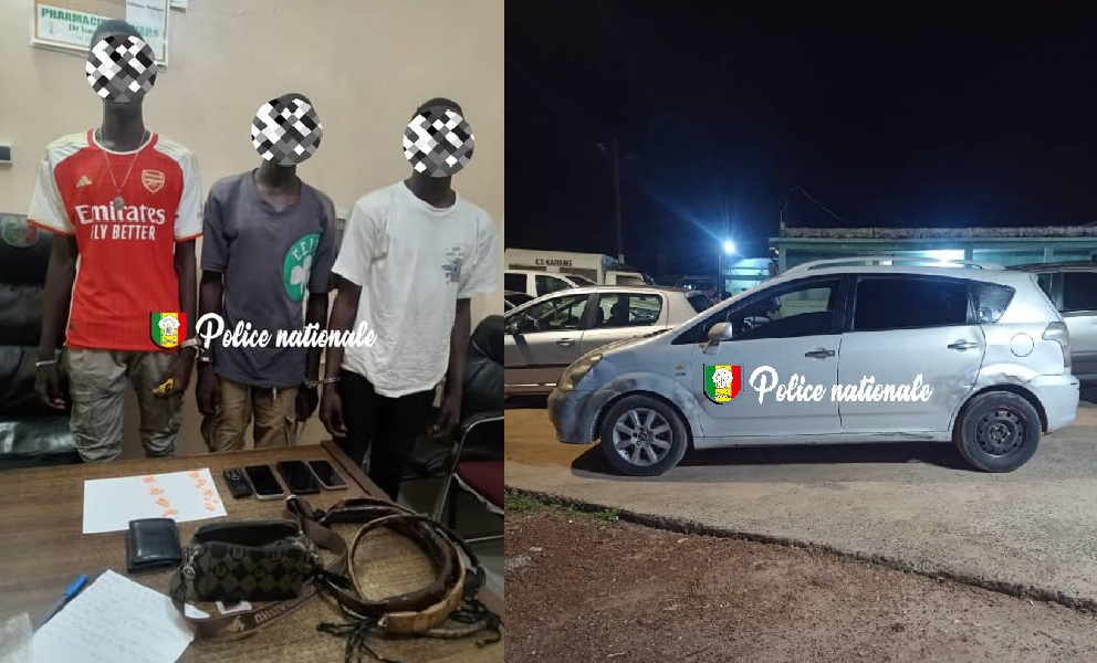 Coup de filet à Fatick : Trois personnes arrêtées pour trafic d’ecstasy