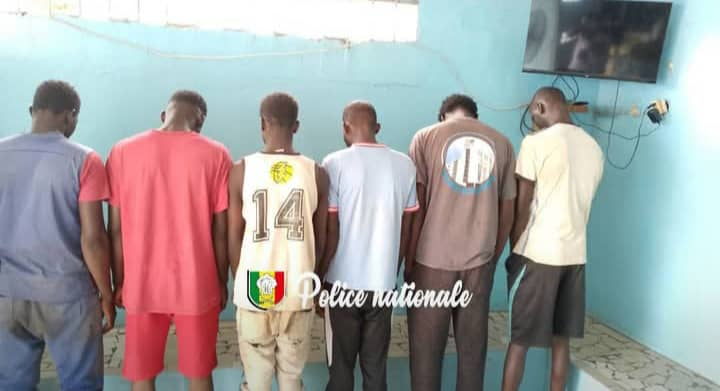 Kolda : 6 individus interpellés pour vol et abattage clandestin