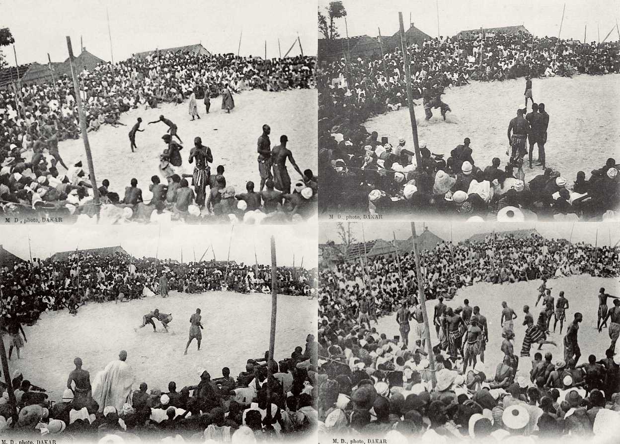 Des cartes postales d’avant 1904, révèlent les origines de la lutte à Dakar : Du « làmb » des villages aux premières arènes