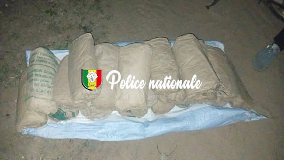 Trafic de drogue : les brigades de Thiès et Kaolack frappent fort à Nguekhokh, 20 blocs de chanvre saisis, la traque continue