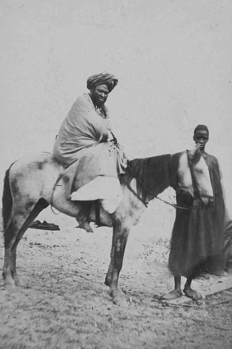 L'union du Waalo et du Trarza : Entre alliance dynastique et menace coloniale (1833-1886)