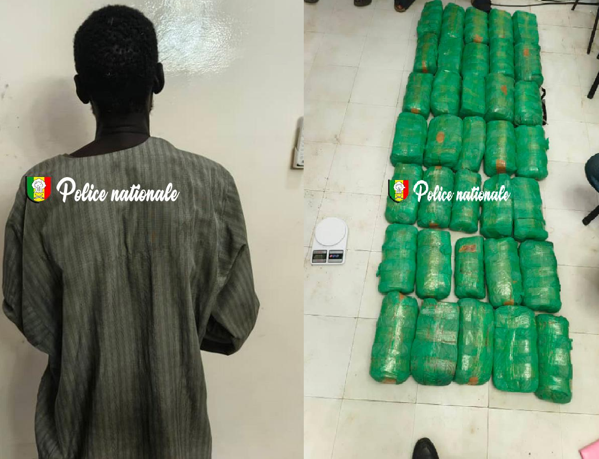 Sécurité et lutte antidrogue : A Diourbel,  32,9 kg de chanvre indien saisis par la Brigade régionale des Stupéfiants