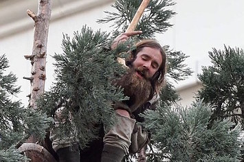 Cet homme a refusé de descendre d’un arbre pendant 24 heures
