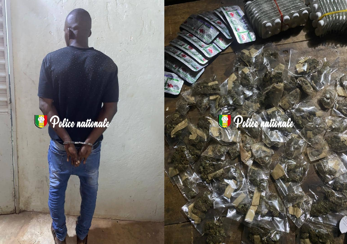 Kédougou – Trafic de drogues : La BRS saisit du Tramadol et du Kush à Kharakhena