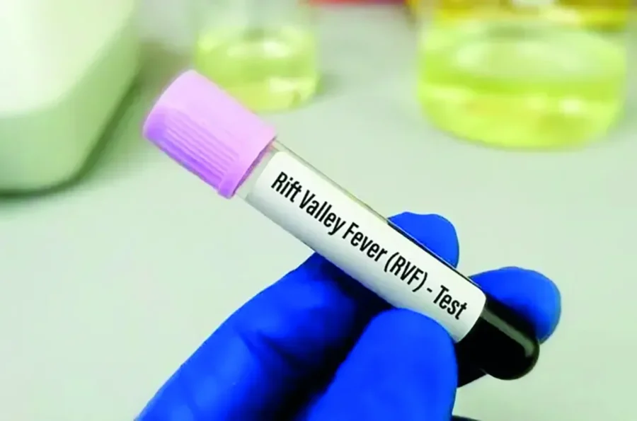 Fièvre de la Vallée du Rift : Les vétérinaires sénégalais renforcent la riposte scientifique, face aux maladies émergentes