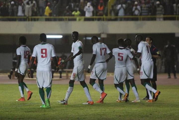 Niger-Sénégal (1-2) : Réactions des Lions