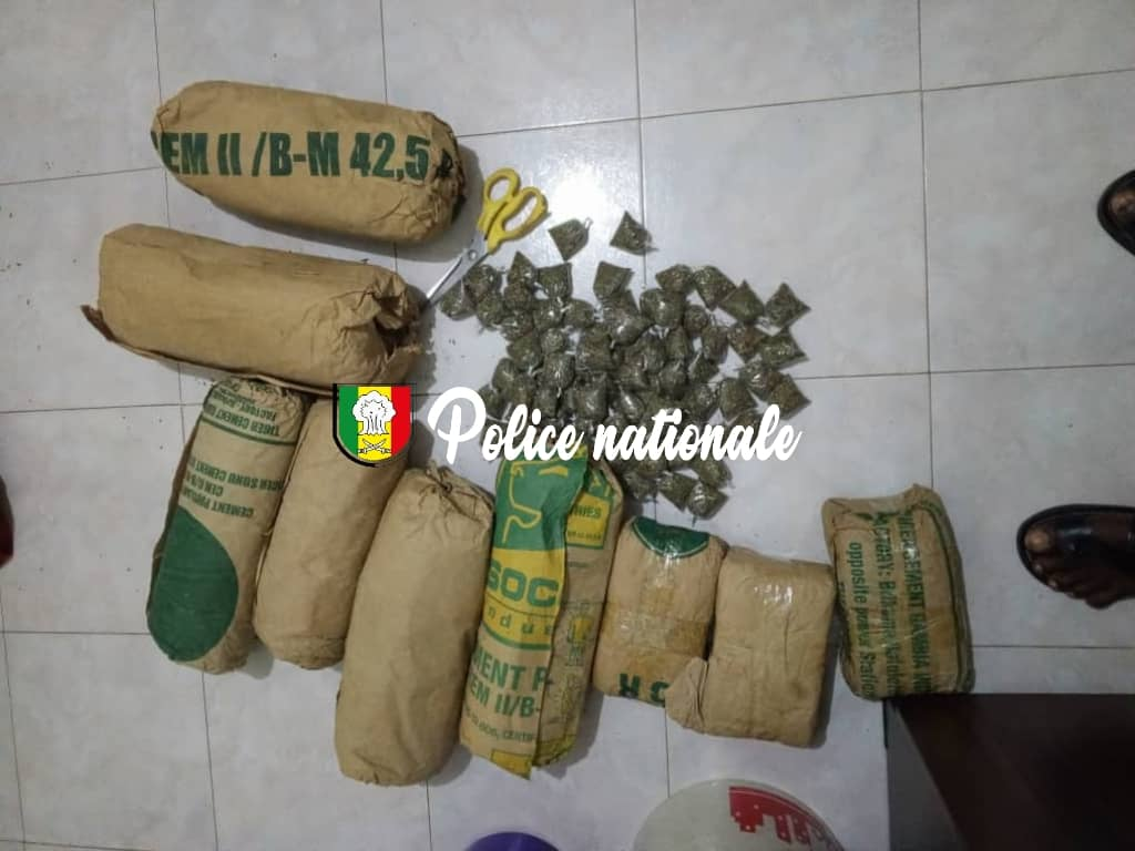 Saisie de 9kg de cannabis par la BRS de Louga