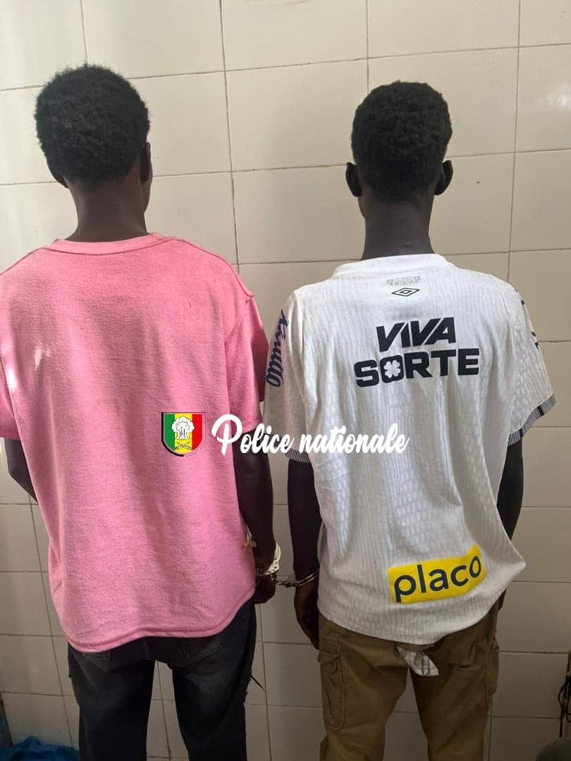 Association de malfaiteurs et vol en réunion: Deux individus conduits au parquet 