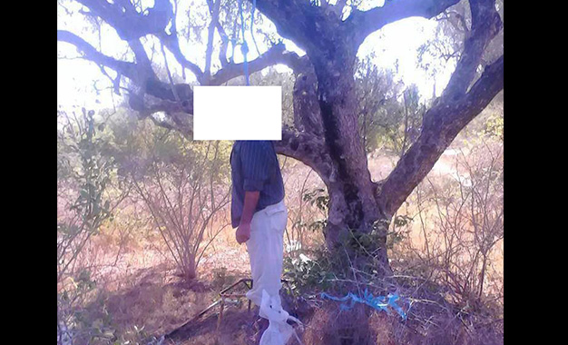 Découverte macabre à la forêt classée de Mbao: Un homme trouvé mort pendu à un arbre