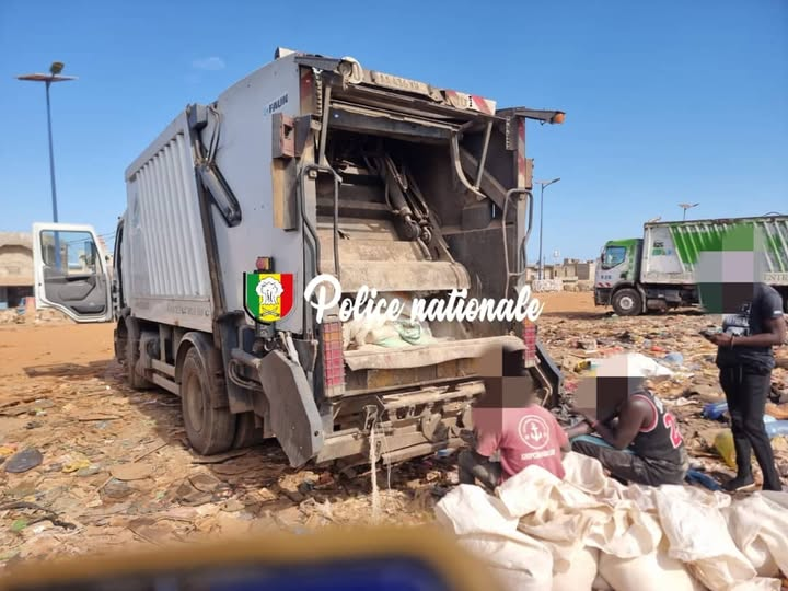 Malika : Quatre individus arrêtés pour revente illégale de produits avicoles impropres à la consommation