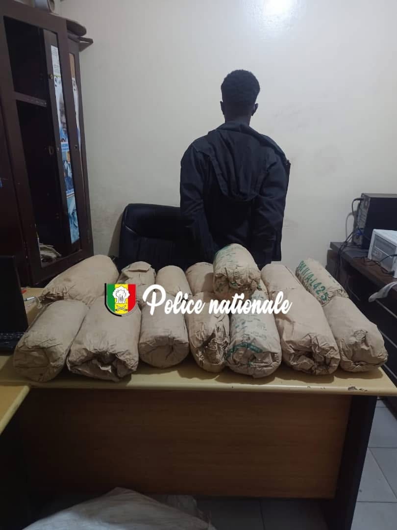 Masserinko : Un individu interpelé avec 15 kg de chanvre indien, son complice en fuite