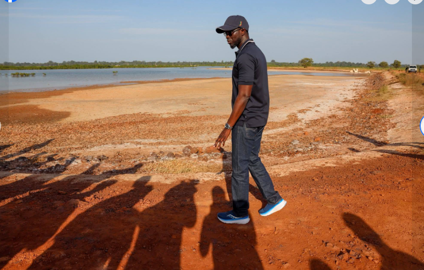 Photos / Casamance : le Président de la République, Bassirou Diomaye Faye, s’est rendu à Coubalan, département de Bignona, pour une visite consacrée au volet agricole