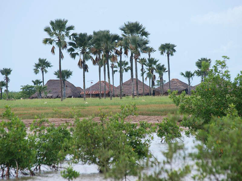 Agents sénégalais arrêtés en Gambie : Ils avaient pour mission de procéder à une cartographie de la demande de veille environnementale...