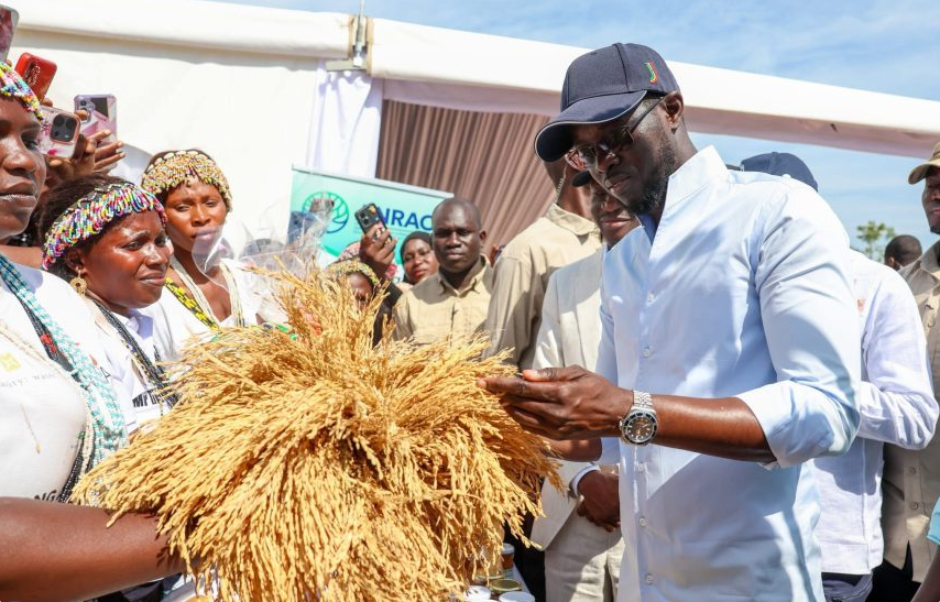 Agenda de Transformation nationale : Une dynamique en marche