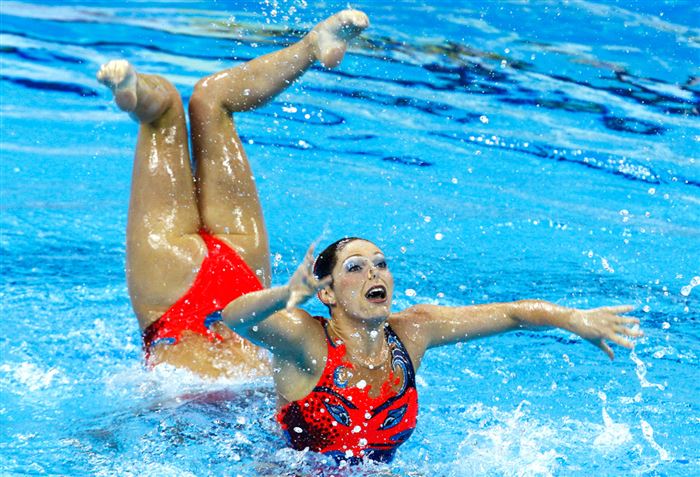 Ces photos improbables ont été prises au parfait moment. Mais la N° 7 remporte la palme.