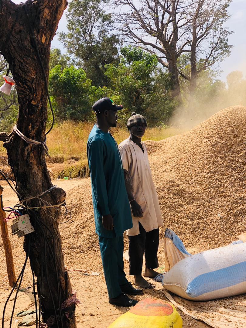 Diombato / Crise de la commercialisation de l’arachide : Modou Thiam lance un cri d’alarme à l’État, depuis le louma de Touba Mouride