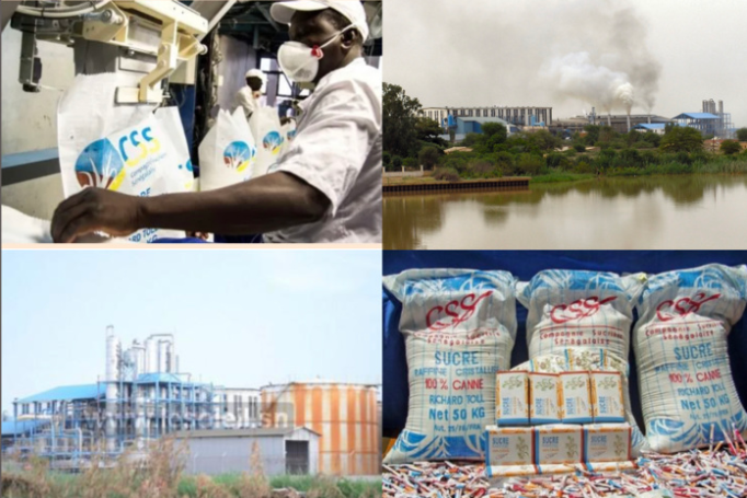 Concurrence déloyale et afflux massif de sucre importé : La  CSS, un fleuron menacé de fermeture par l’anarchie des Dipa, 8 000 emplois en jeu
