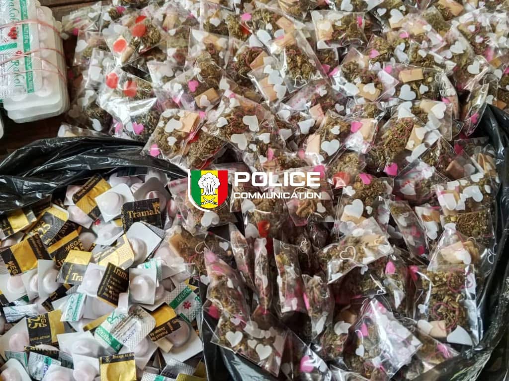 Kédougou : La BRS démantèle un réseau de trafic de kush et de médicaments