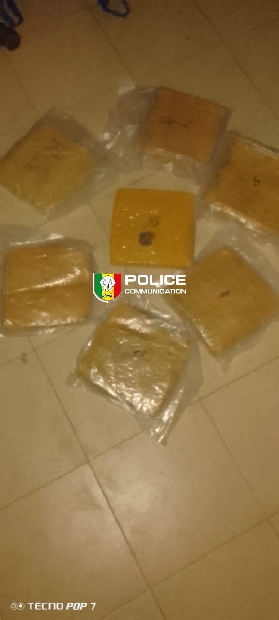 Lutte contre le trafic de drogue : Un individu interpellé avec 7 blocs de chanvre indien