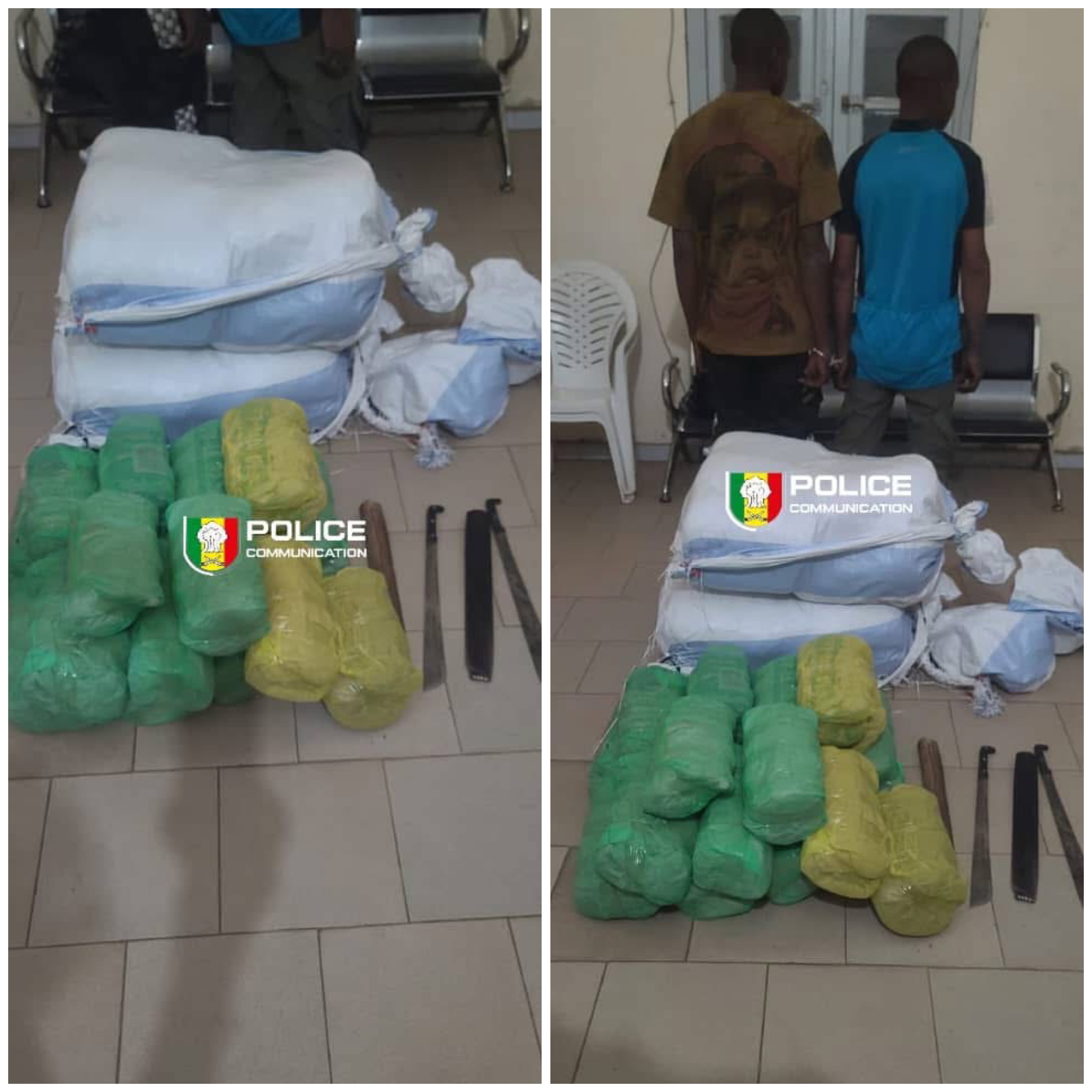 54 kg de chanvre indien saisis en pleine forêt, deux individus interpellés 