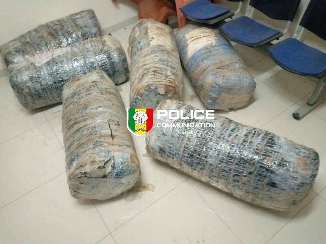 Lutte contre le trafic de stupéfiants : Saisie record de 120 kg de chanvre indien à Mbour